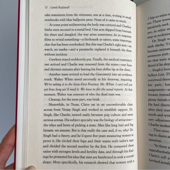 BOOK, The Widow’s Guide to Sex & Dating, a novel, 302 pages, Fiction, NOS - Picture 11 of 16